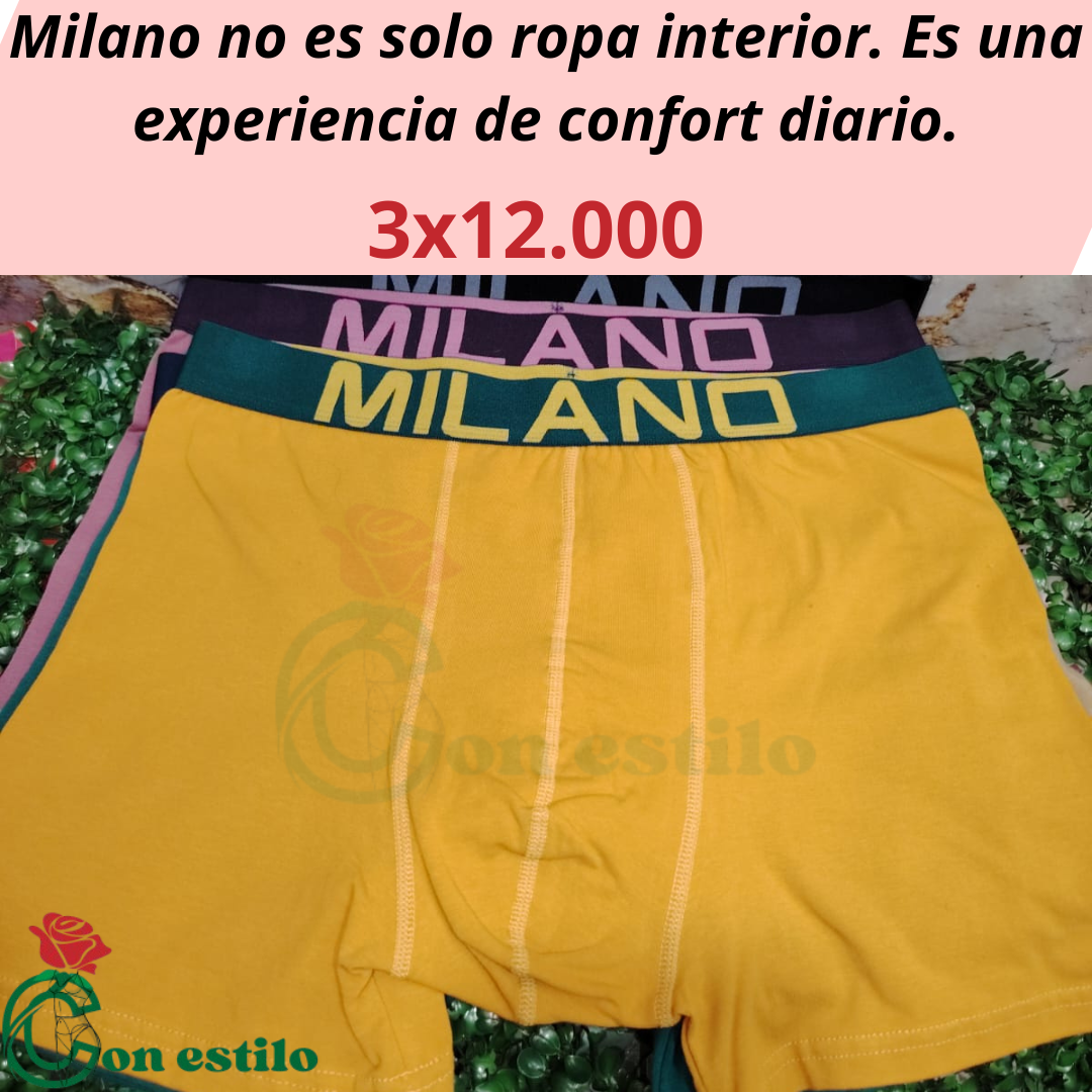 boxer milano 3x12000