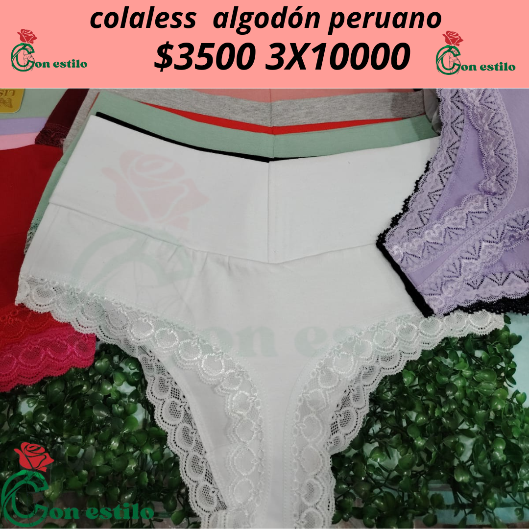 colaless de algodón    3x10000