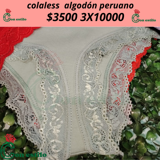 colaless de algodón    3x10000