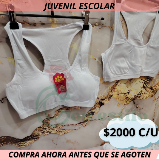 PETO JUVENIL LOLITA 2000 C/U