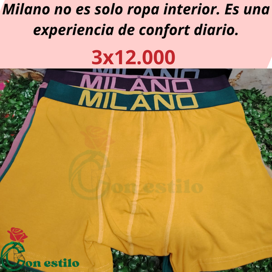 boxer milano 3x12000